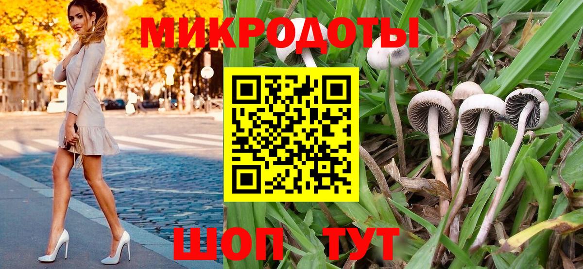 Галлюциногенные грибы MAGIC MUSHROOMS Губаха